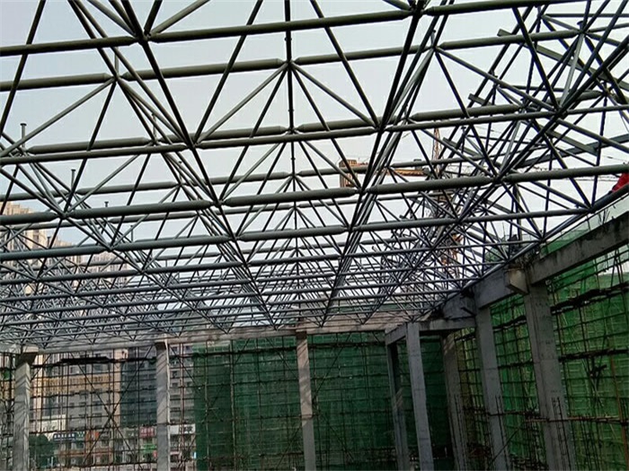 辛集光谷第十一小学网架